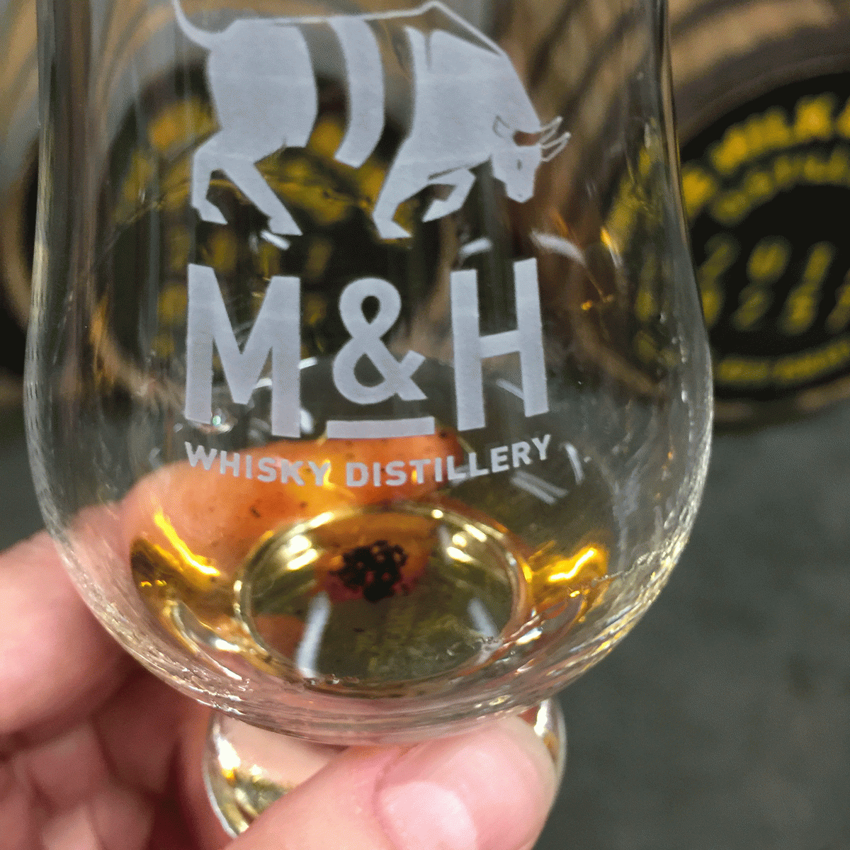 M&H, le whisky de Tel Aviv se lâche